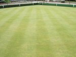 True Level and Fast Surfaces